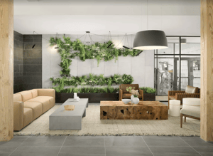 Trailing Plants on Trellis