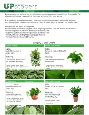 _Indoor Plant Guide.pdf