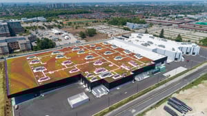 bioroof-images (7)-1