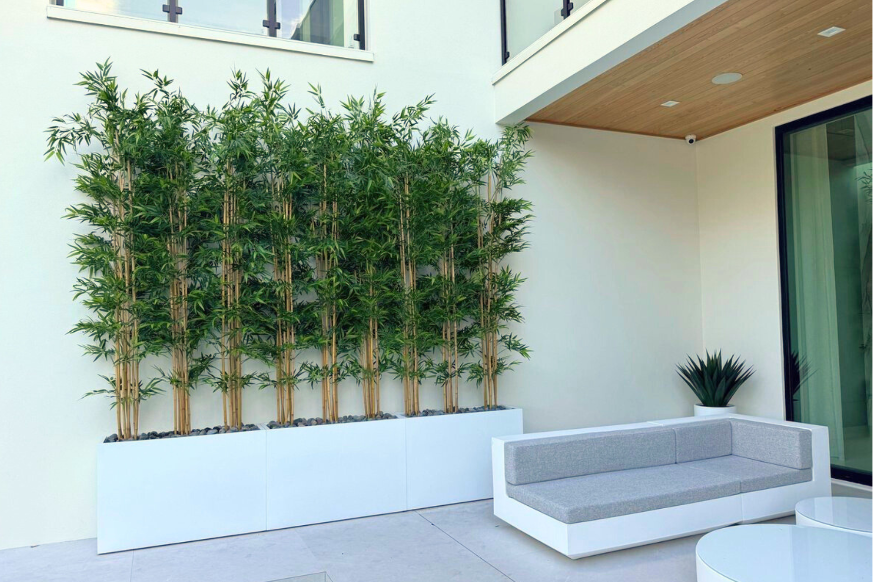 faux-bamboo-trees-upscapers2
