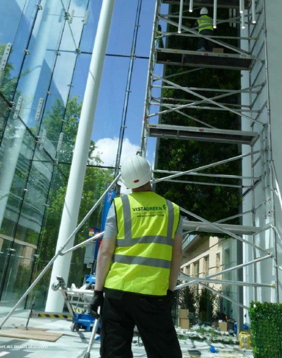 green-wall-construction-vistagreen