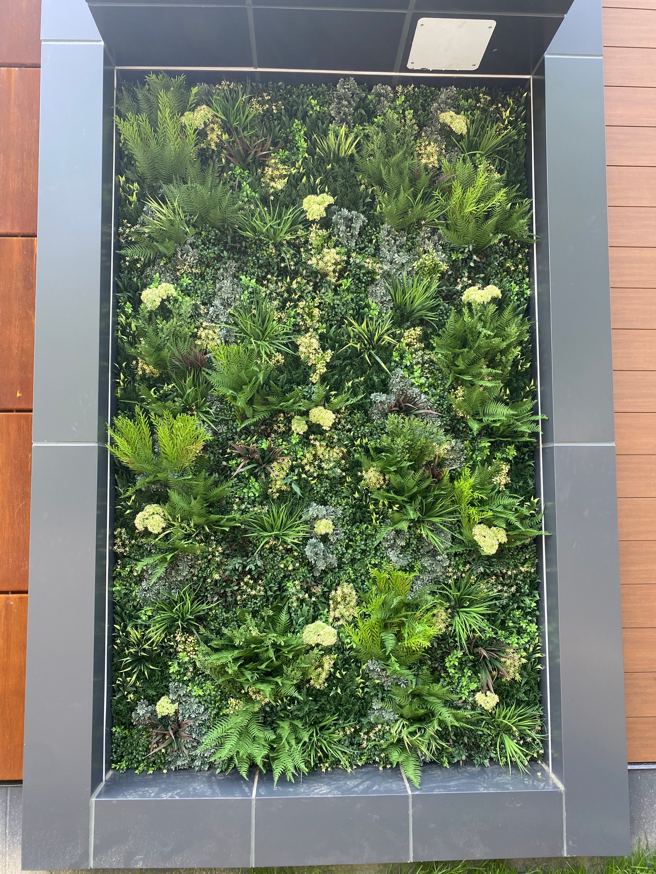 image-20230511-154847-d226111a-1