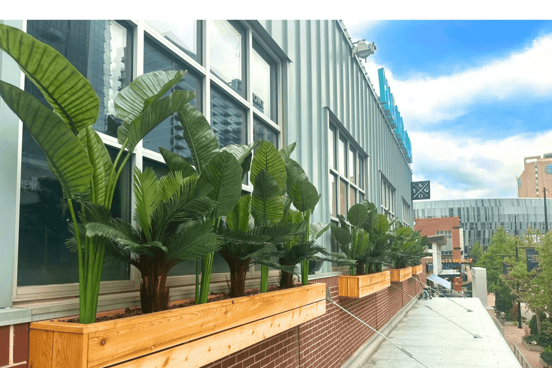 palmtrees-kansascity