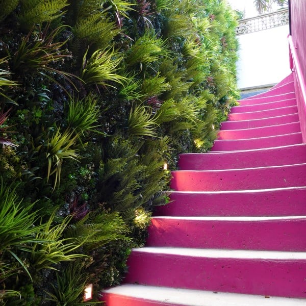 pink-stairs-1_0 pink-stairs-1_0
