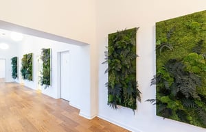 preserved-plants-preserved-moss-walls (18)