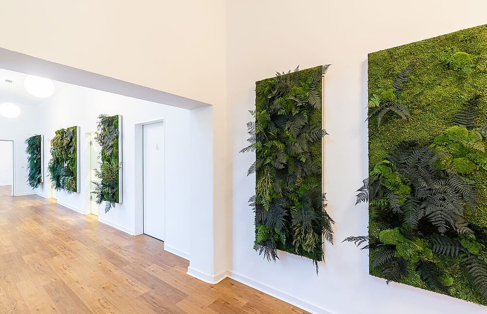 Preserved Moss Wall | Greenery Wall & Biophilic Design Solutions