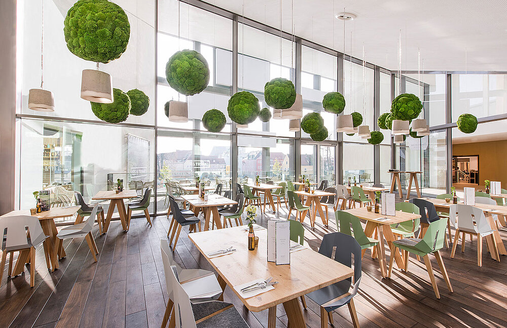 preserved-plants-preserved-moss-walls (3)