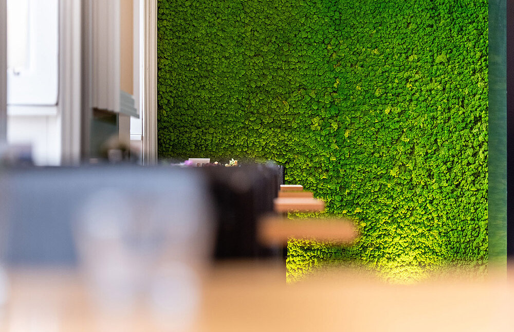 preserved-plants-preserved-moss-walls (6)