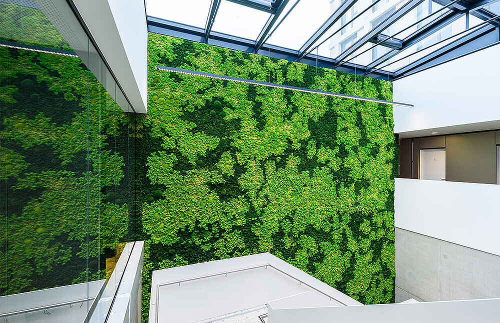 preserved-plants-preserved-moss-walls (9)