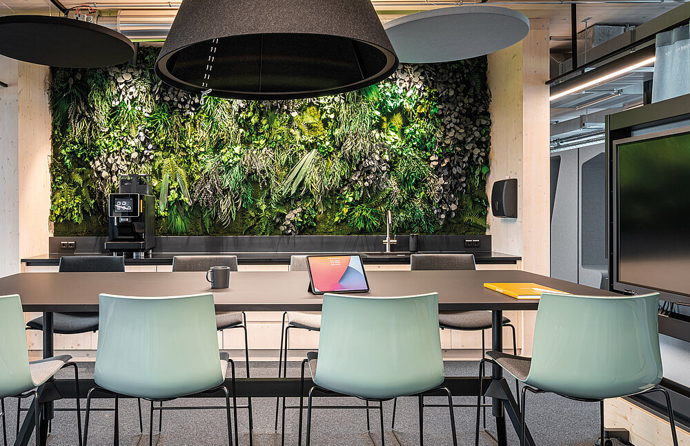 preserved-plants-preserved-moss-walls 1111