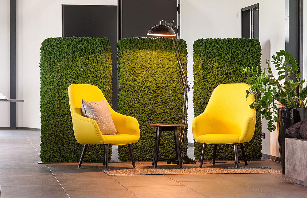 preserved-plants-preserved-moss-walls 2