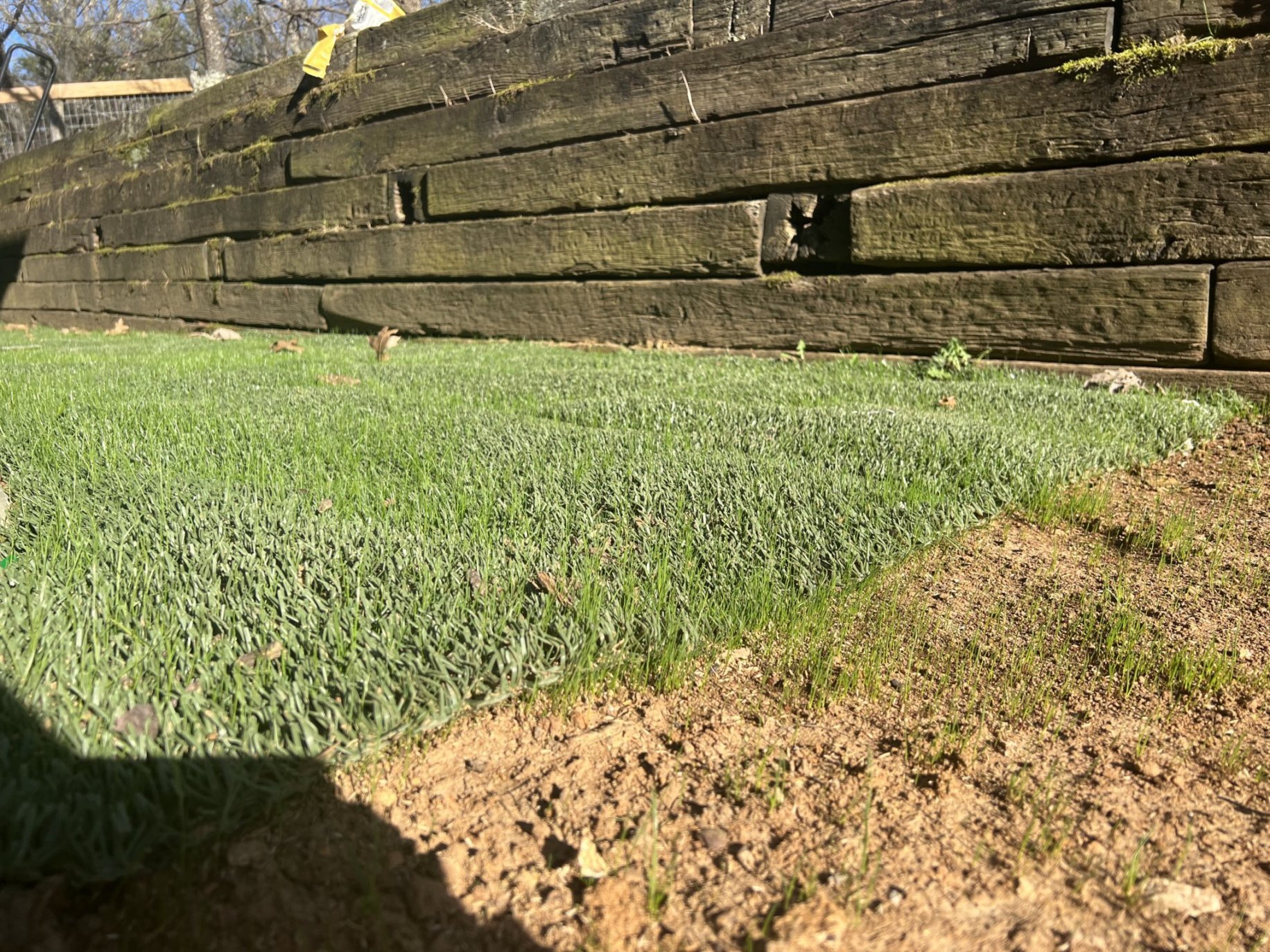 shieldscape-case-study