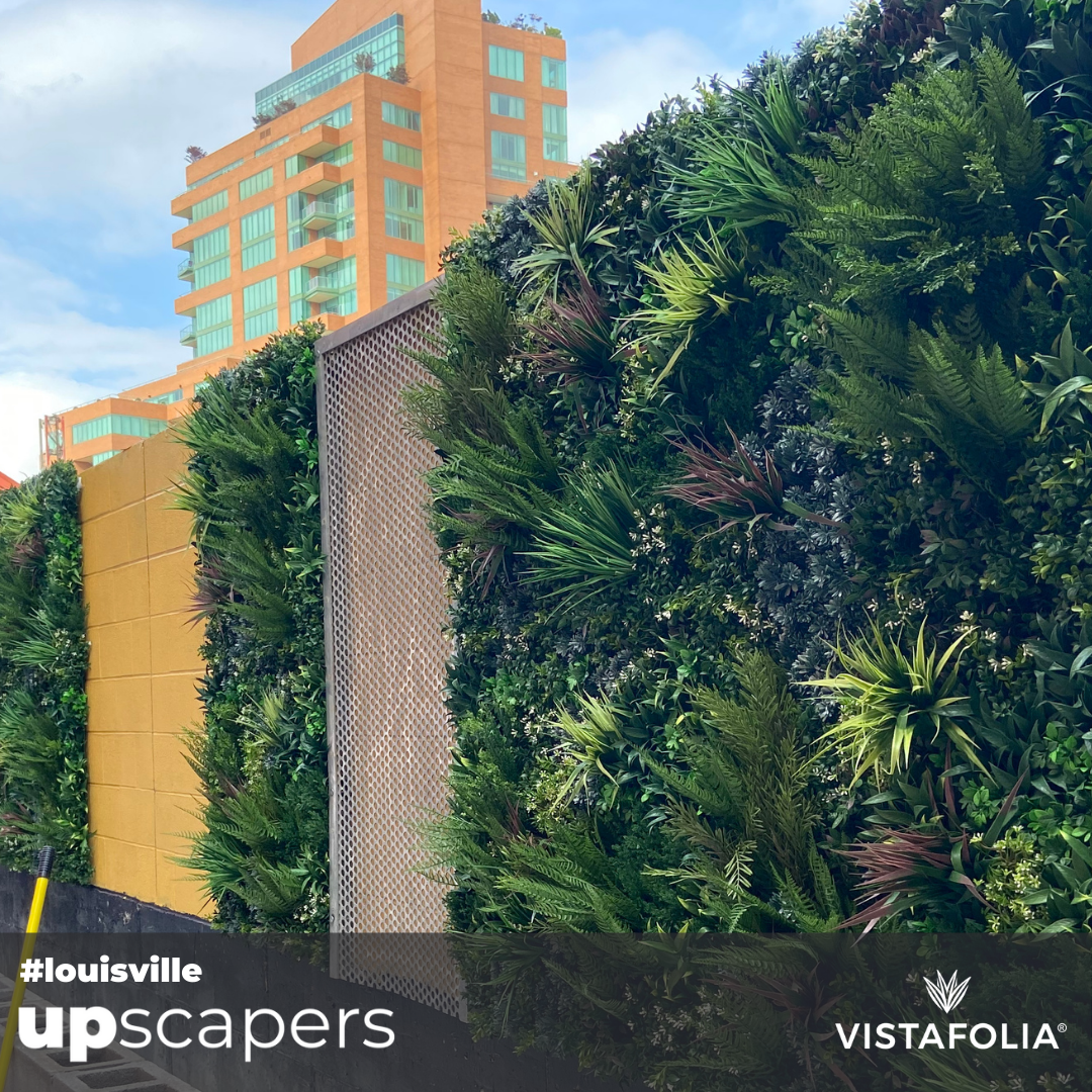 upscapers instagram upscapers instagram