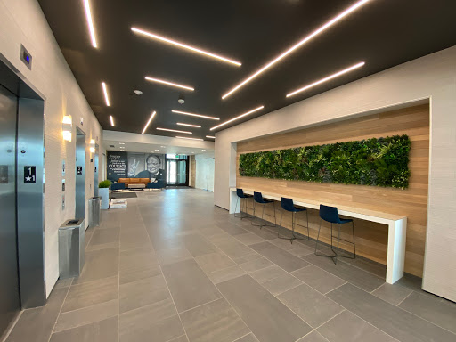 Fake Plant Wall Panels in Office Building - Indoor Application