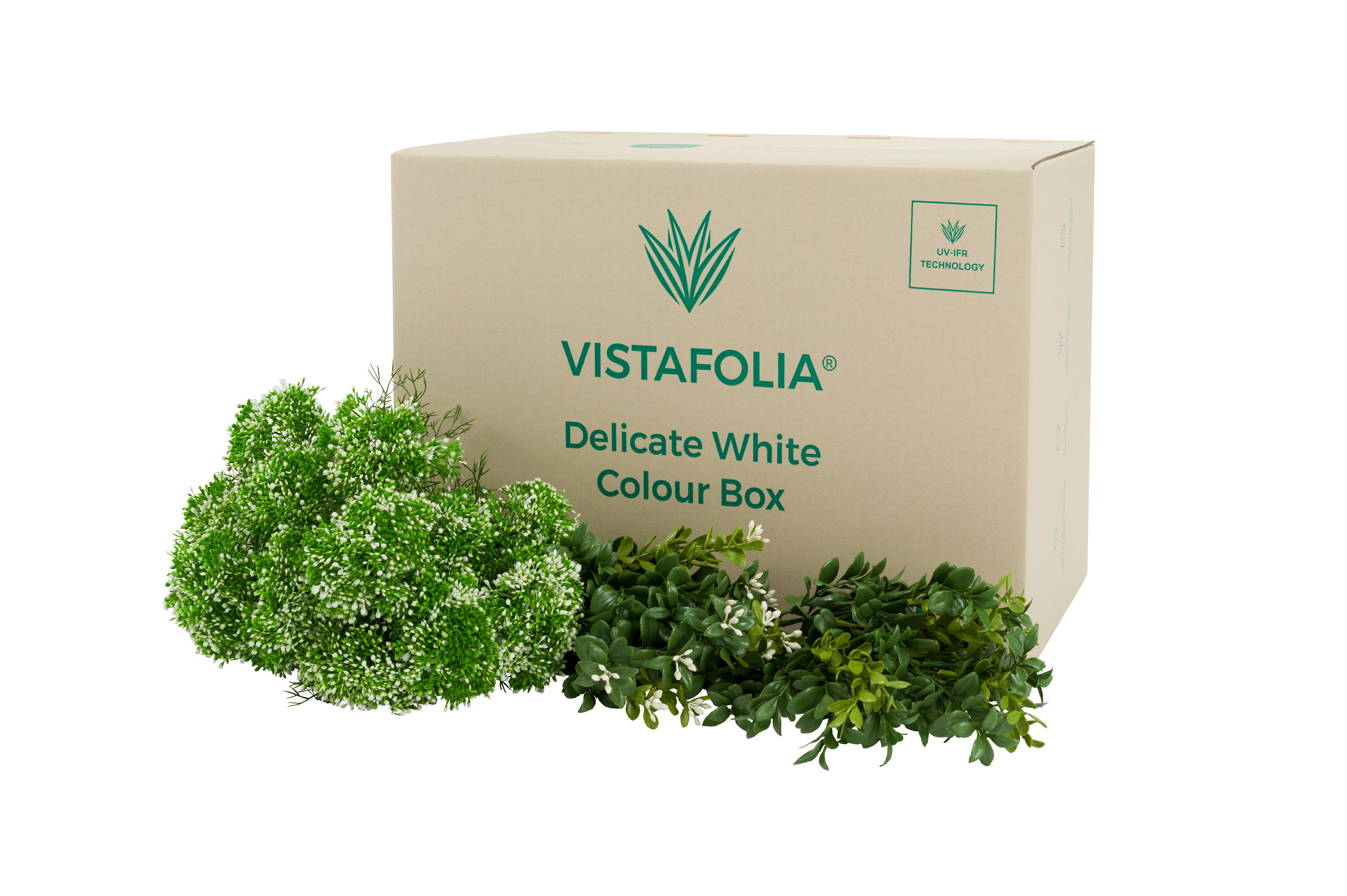 Delicate White Colour Box PNG-1 Delicate White Colour Box PNG-1