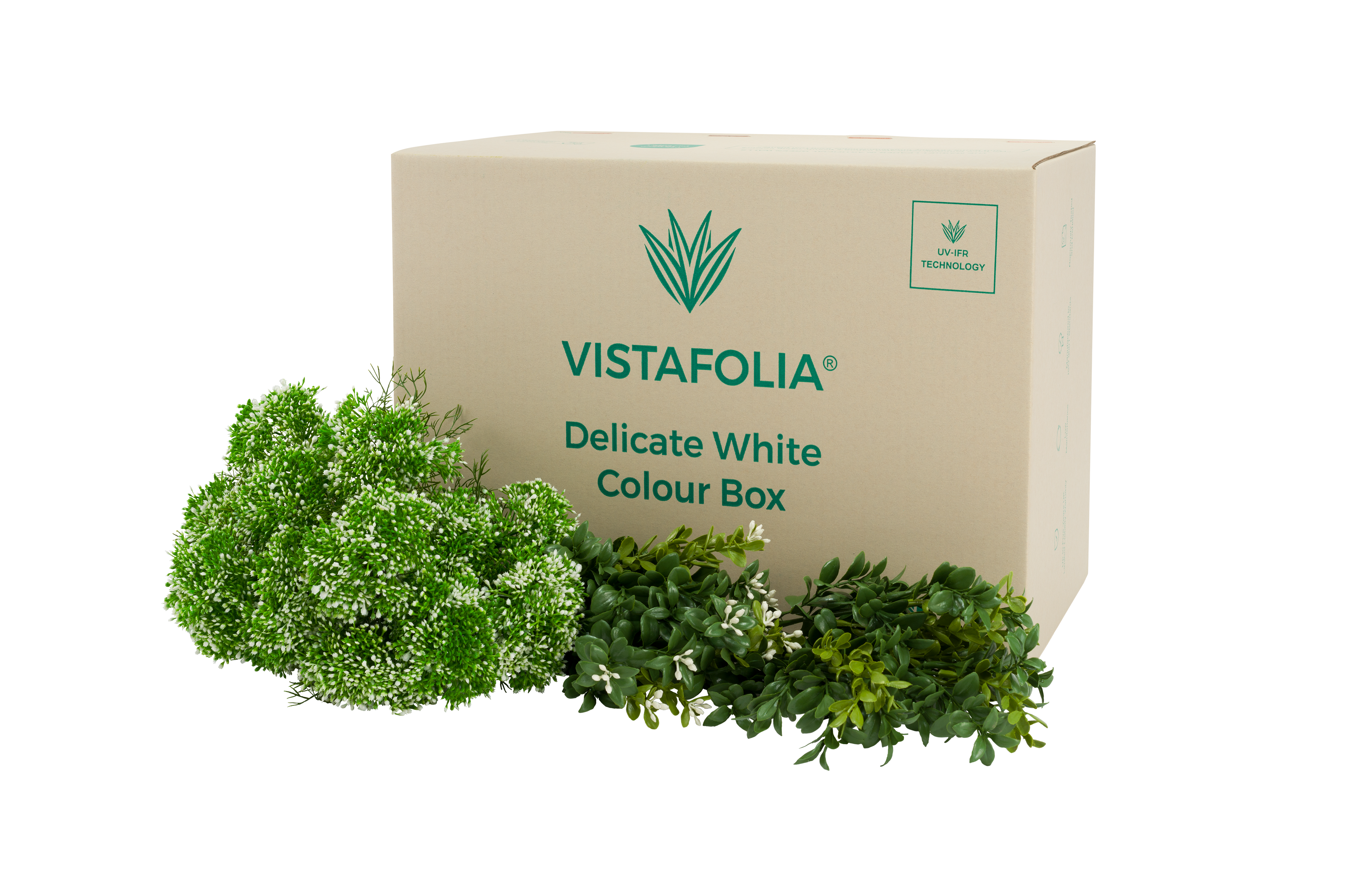 Delicate White Colour Box PNG