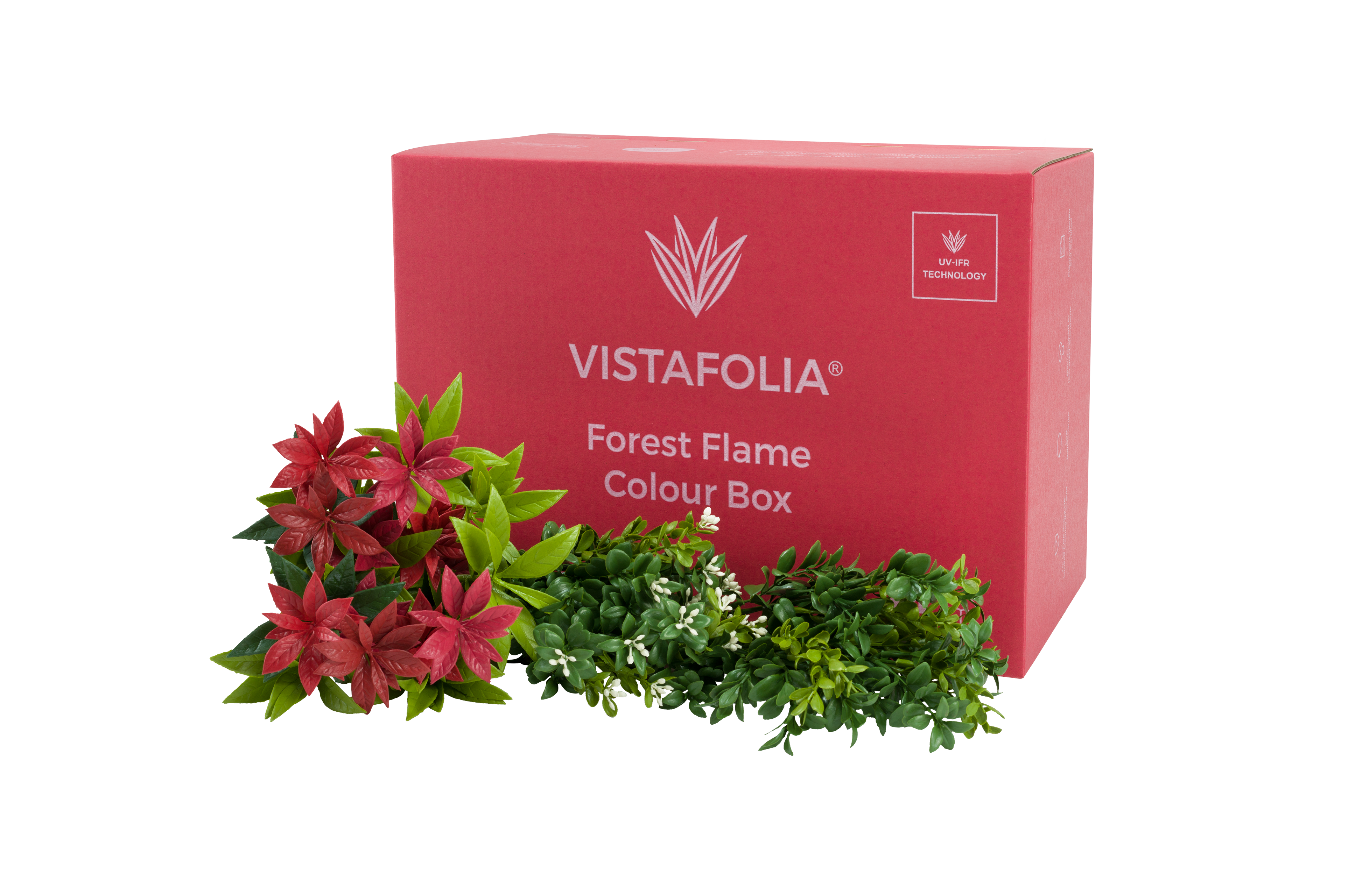 Forest Flame Colour Box PNG-1 Forest Flame Colour Box PNG-1