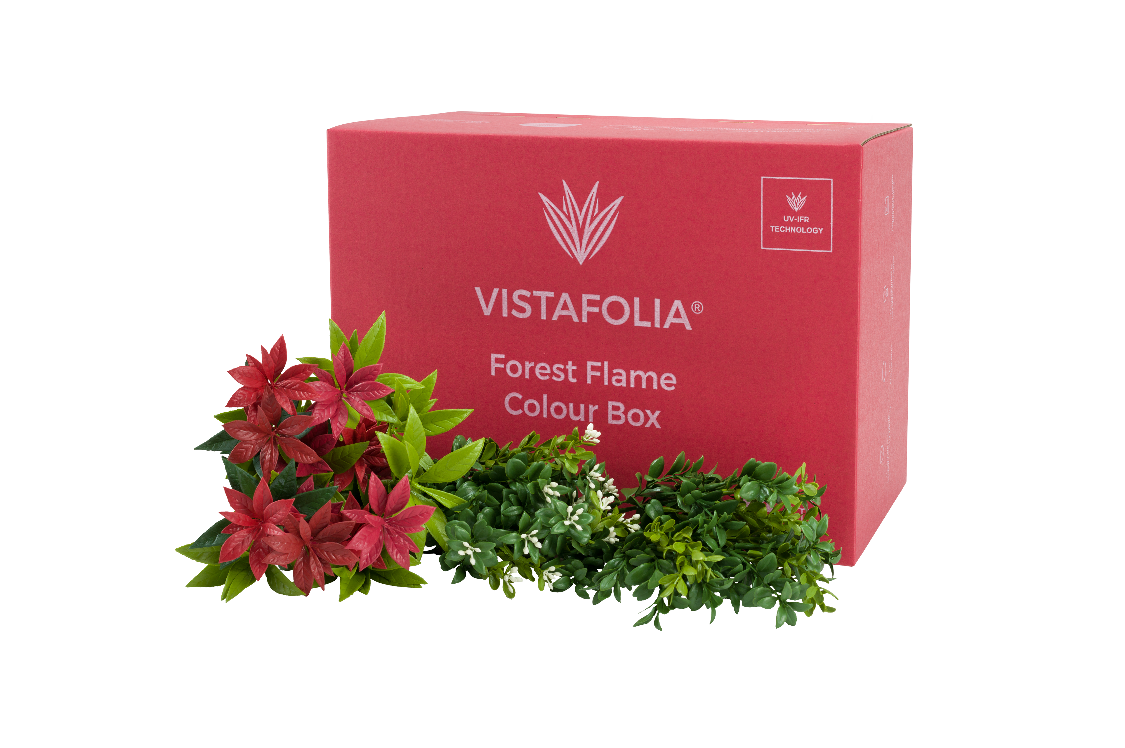 Forest Flame Colour Box PNG
