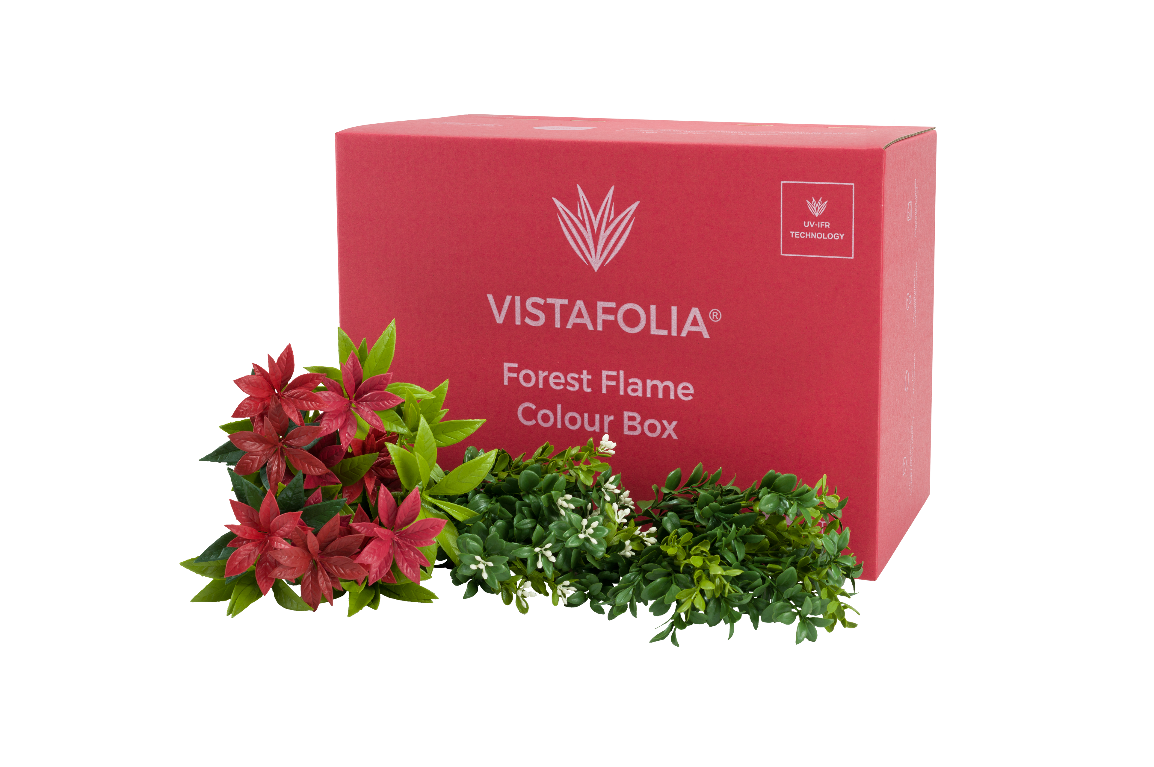 Forest Flame Colour Box PNG