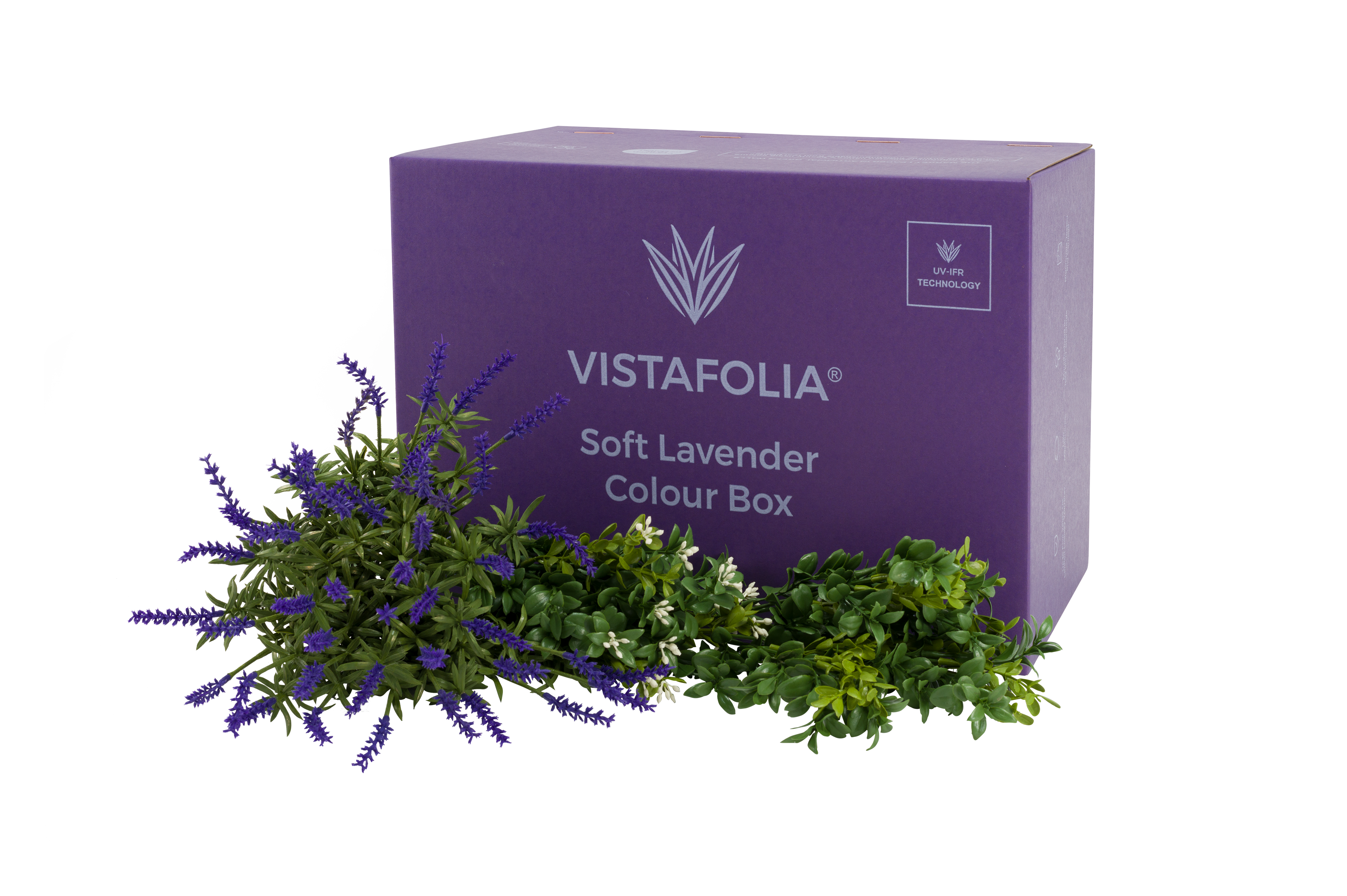 Soft Lavender Colour Box PNG-1 Soft Lavender Colour Box PNG-1