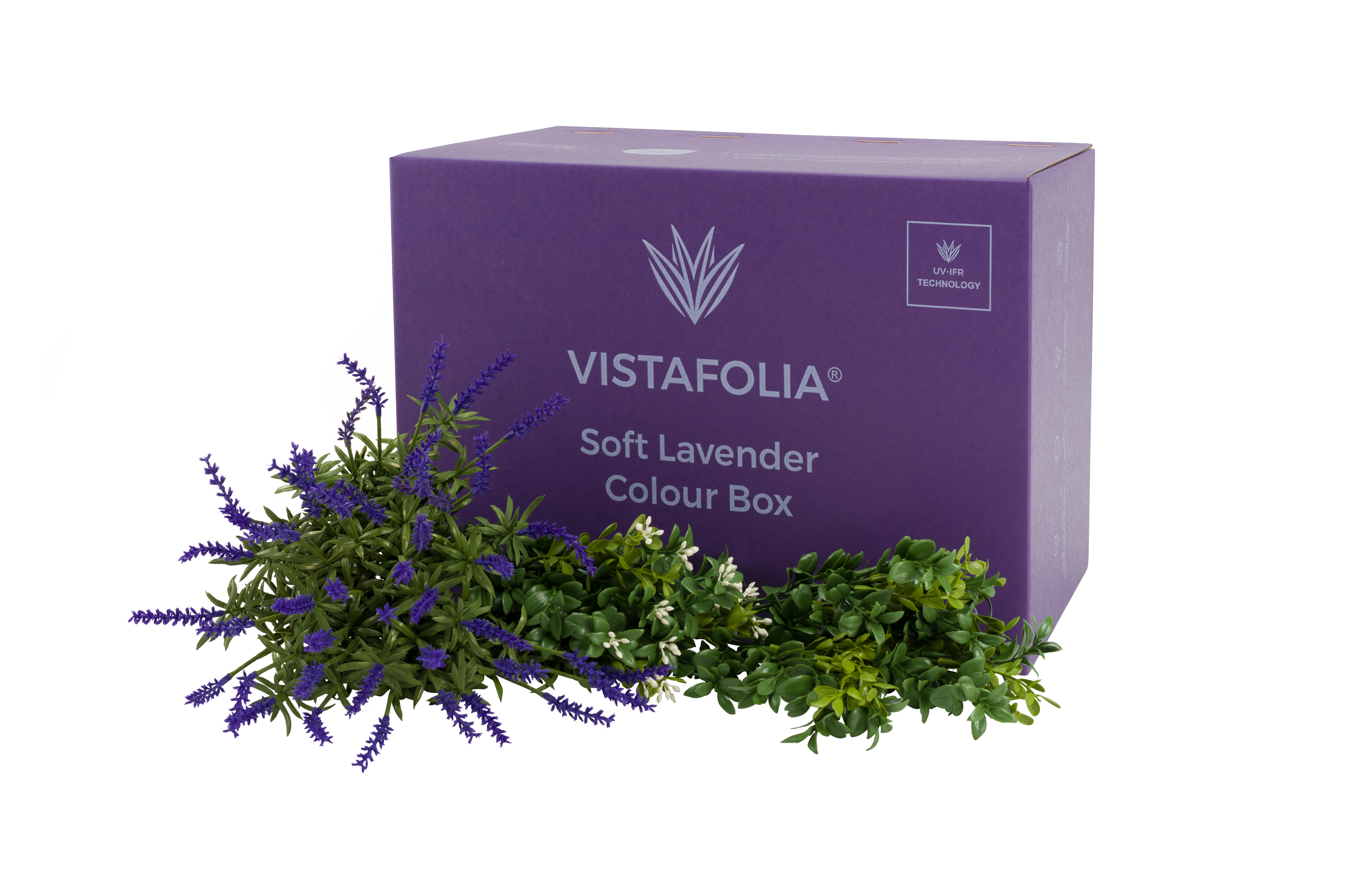 Soft Lavender Colour Box PNG