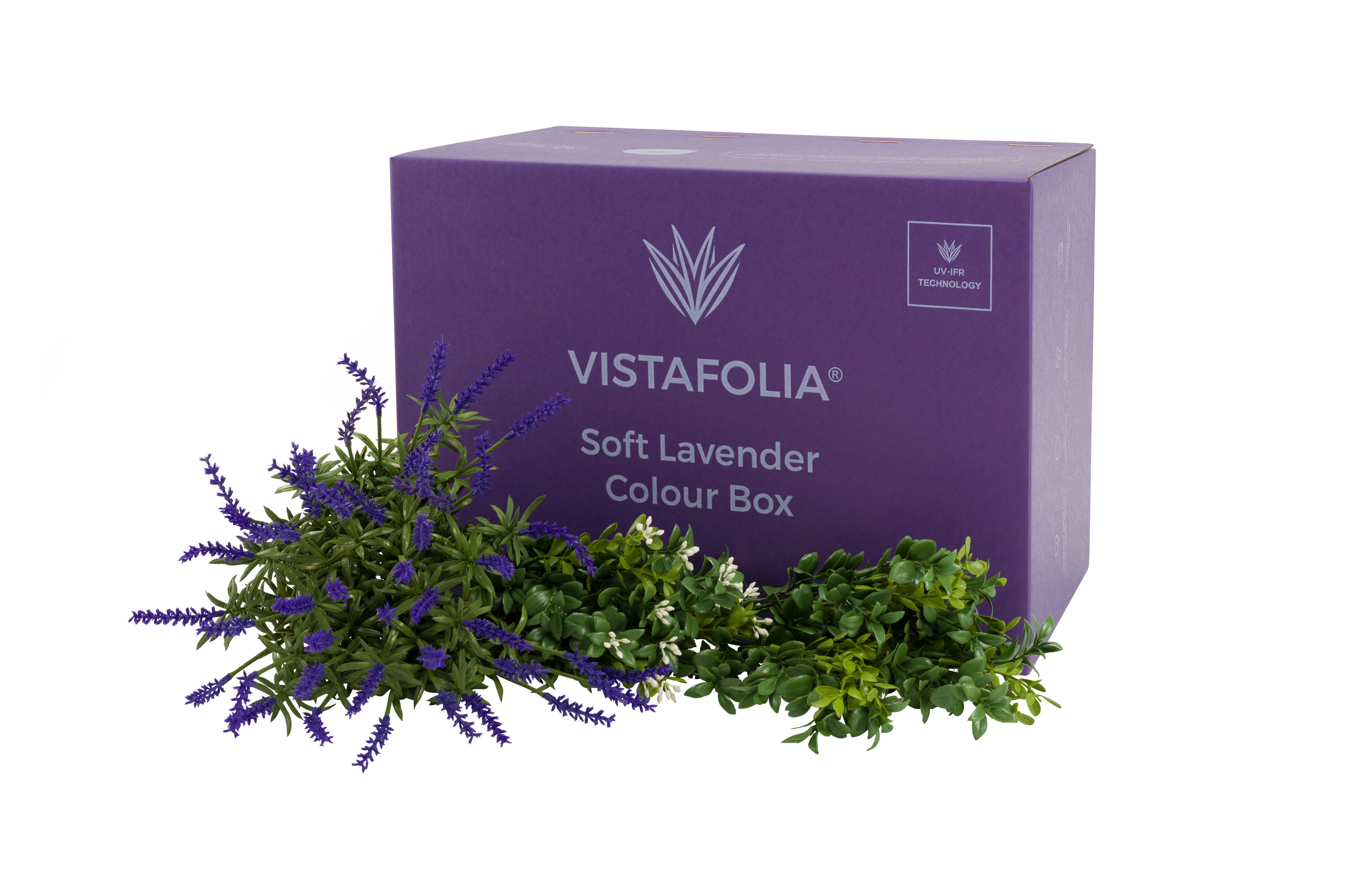 Soft Lavender Colour Box PNG