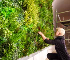 VistaFolia by VistaGreen, the Highest Quality Artificial Green Wall