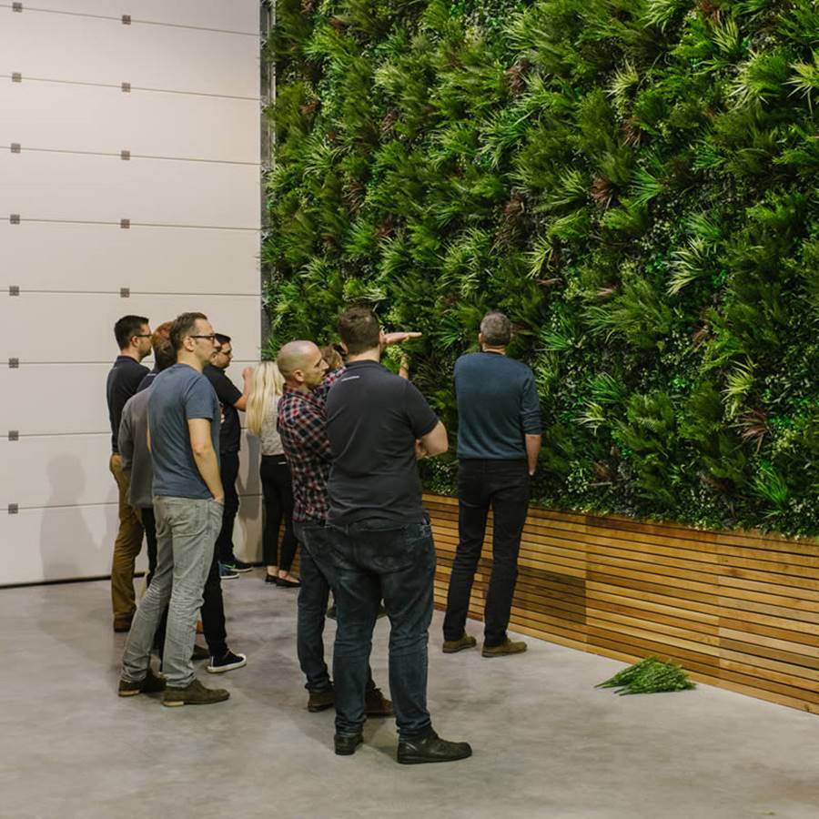 VistaFolia by VistaGreen, the Highest Quality Artificial Green Wall